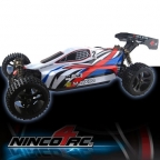 1/5 E-MAXIM BUGGY 4WD