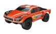 SPARROWHAWK DT12 Orange -