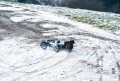 BUGGY REBEL S8BX RTR